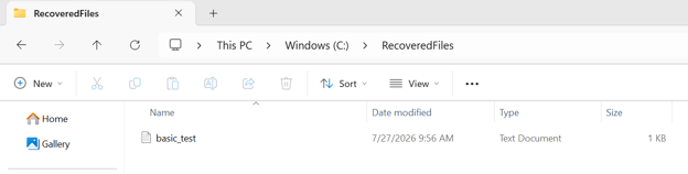 Snapshot_File_Restore-03
